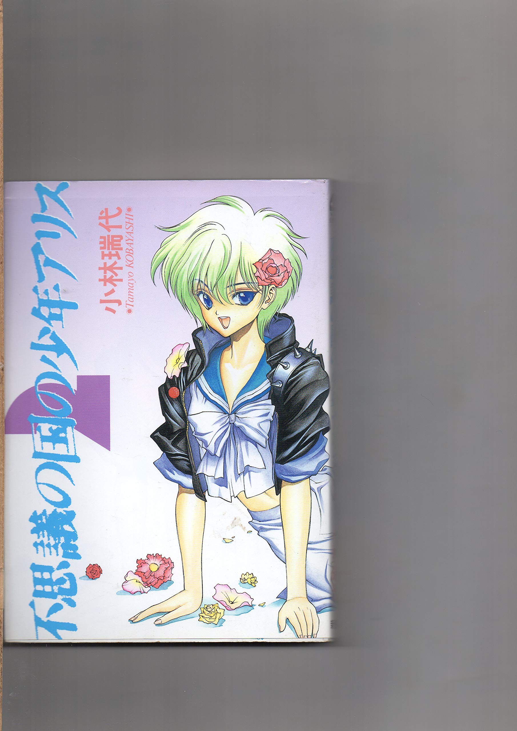 Amazon.co.jp: 小林 瑞代: 本、バイオグラフィー、最新アップデート